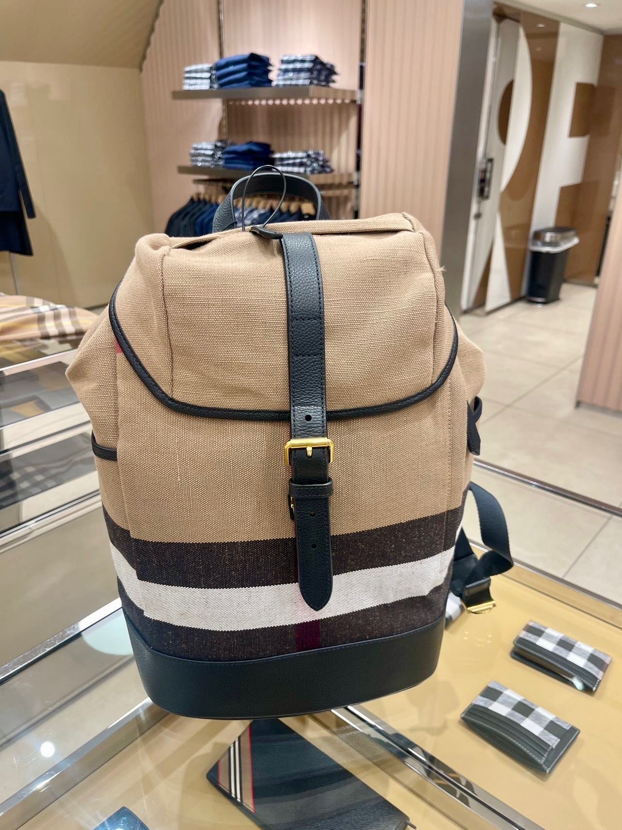 Buckle Backpack